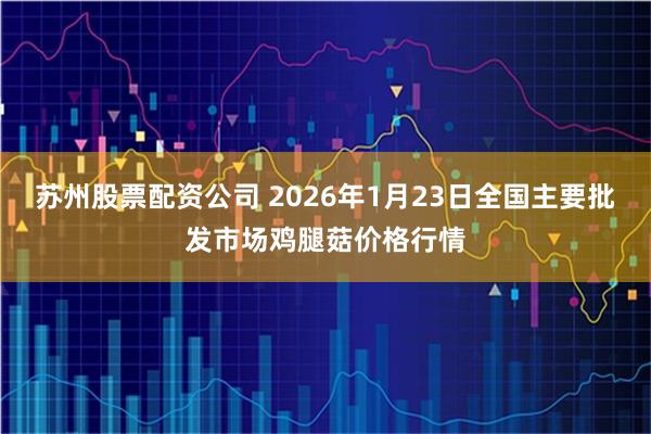 苏州股票配资公司 2026年1月23日全国主要批发市场鸡腿菇价格行情