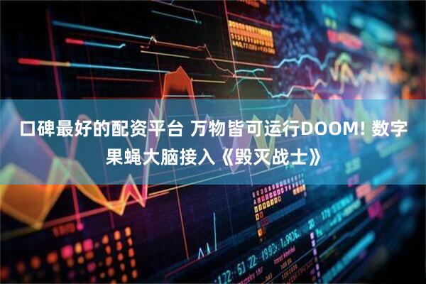口碑最好的配资平台 万物皆可运行DOOM! 数字果蝇大脑接入《毁灭战士》